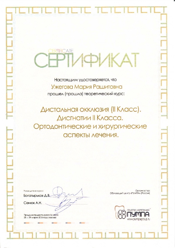 Сертификат 16